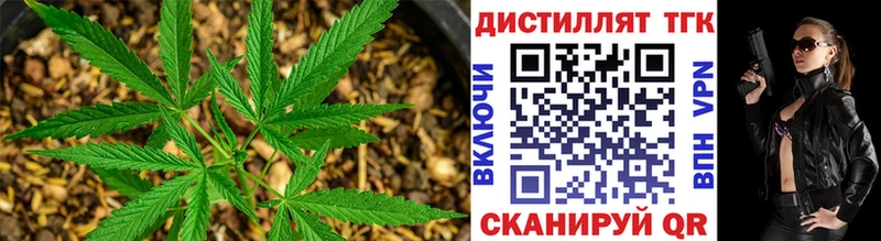 ТГК вейп с тгк  hydra сайт  нарко площадка какой сайт  Ядрин 