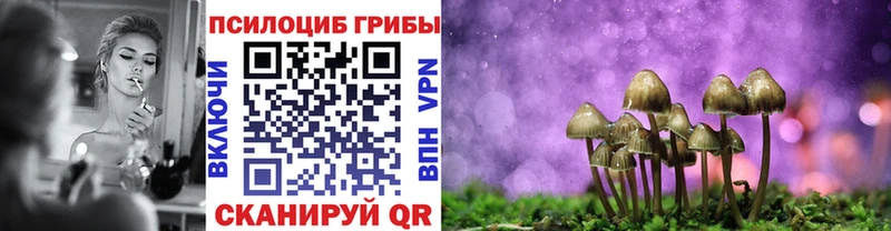 Псилоцибиновые грибы мицелий  Ядрин 
