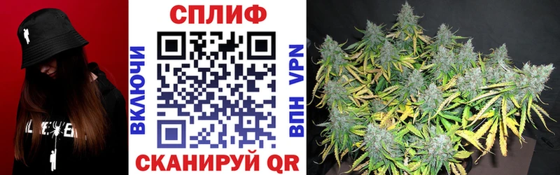 Каннабис VHQ  blacksprut ссылка  Ядрин 